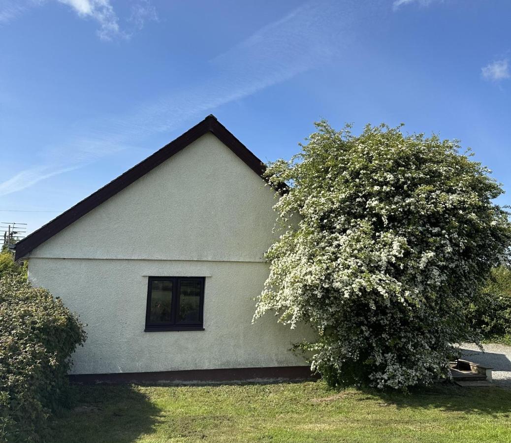 3 Bed Detached Cottage- Log Burner Mountain Views Beaumaris Exteriör bild