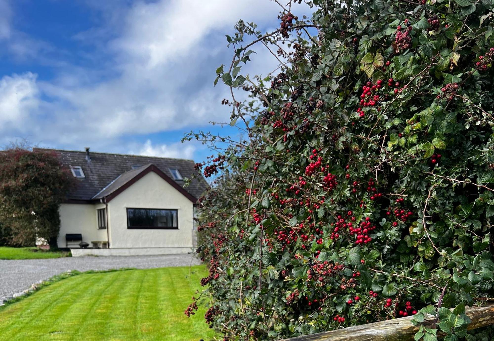 3 Bed Detached Cottage- Log Burner Mountain Views Beaumaris Exteriör bild